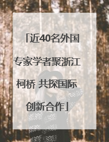 近40名外国专家学者聚浙江柯桥 共探国际创新合作