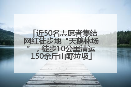 近50名志愿者集结网红徒步地“天鹅林场”，徒步10公里清运150余斤山野垃圾