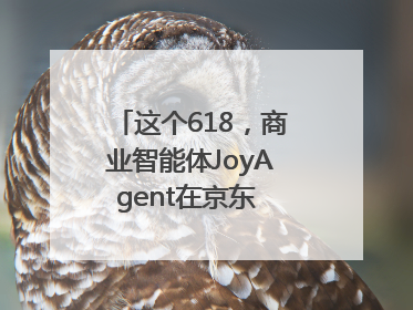 这个618，商业智能体JoyAgent在京东 “悄悄” 上线