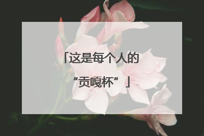 这是每个人的“贡嘎杯”
