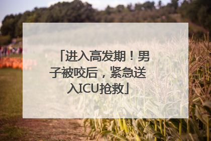 进入高发期！男子被咬后，紧急送入ICU抢救