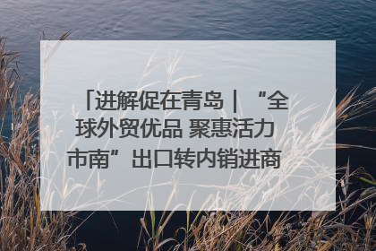 进解促在青岛｜“全球外贸优品 聚惠活力市南”出口转内销进商超专场活动启动