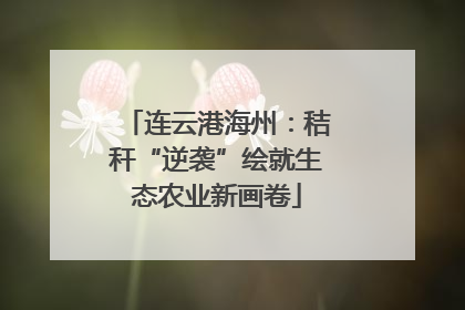 连云港海州：秸秆“逆袭”绘就生态农业新画卷