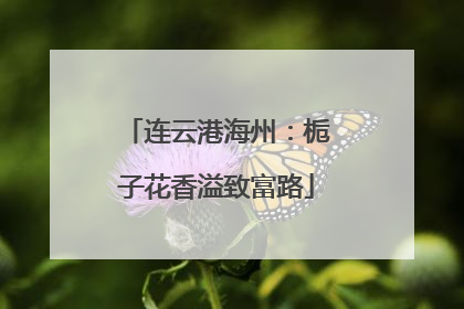连云港海州：栀子花香溢致富路