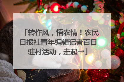 转作风，悟农情！农民日报社青年编辑记者百日驻村活动，走起→