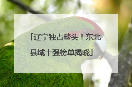 辽宁独占鳌头！东北县域十强榜单揭晓