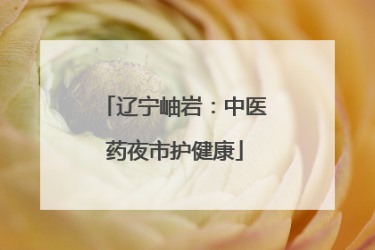 辽宁岫岩：中医药夜市护健康