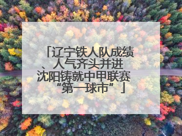 辽宁铁人队成绩、人气齐头并进 沈阳铸就中甲联赛“第一球市”