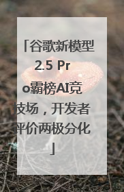 谷歌新模型2.5 Pro霸榜AI竞技场，开发者评价两极分化