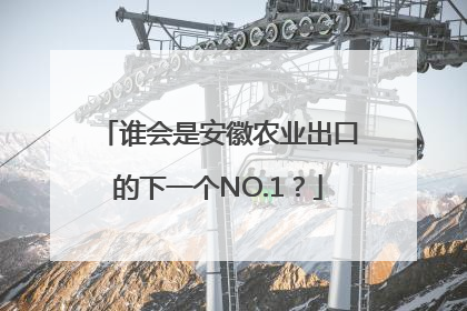 谁会是安徽农业出口的下一个NO.1？