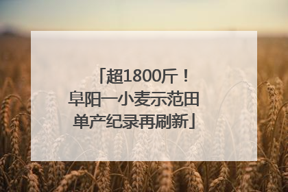 超1800斤！阜阳一小麦示范田单产纪录再刷新