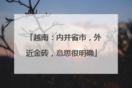 越南：内并省市，外近金砖，意思很明确