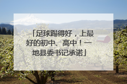 足球踢得好，上最好的初中、高中！一地县委书记承诺