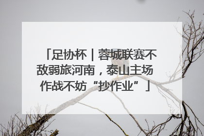 足协杯｜蓉城联赛不敌弱旅河南，泰山主场作战不妨“抄作业”