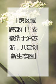 跨区域 跨部门！安徽携手沪苏浙，共建创新生态圈