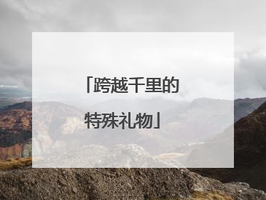 跨越千里的特殊礼物