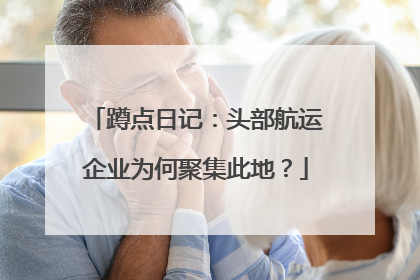 蹲点日记：头部航运企业为何聚集此地？