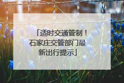 适时交通管制！石家庄交管部门最新出行提示