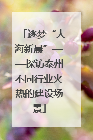 逐梦“大海新晨”——探访泰州不同行业火热的建设场景