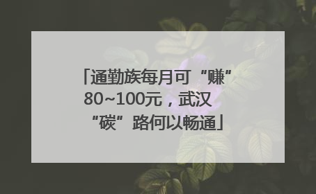通勤族每月可“赚”80~100元，武汉“碳”路何以畅通