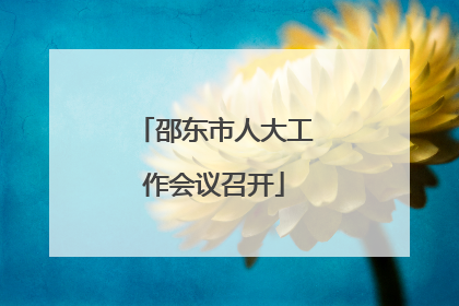 邵东市人大工作会议召开