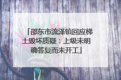 邵东市流泽镇回应梯土毁坏质疑：上级未明确答复而未开工