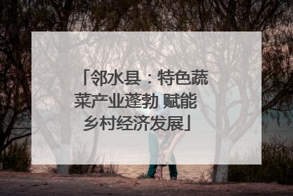 邻水县：特色蔬菜产业蓬勃 赋能乡村经济发展