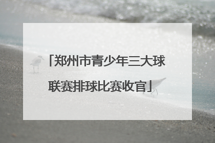 郑州市青少年三大球联赛排球比赛收官