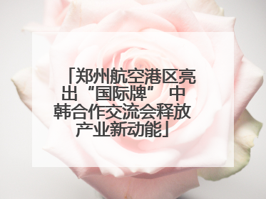 郑州航空港区亮出“国际牌” 中韩合作交流会释放产业新动能