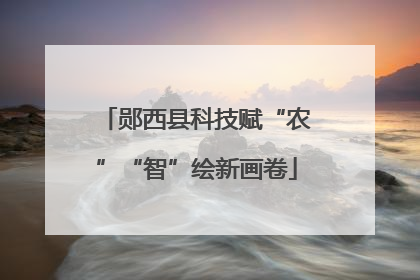 郧西县科技赋“农”“智”绘新画卷