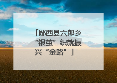 郧西县六郎乡“银茧”织就振兴“金路”