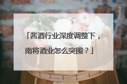 酱酒行业深度调整下，南将酒业怎么突围？