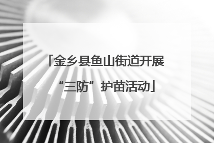 金乡县鱼山街道开展“三防”护苗活动