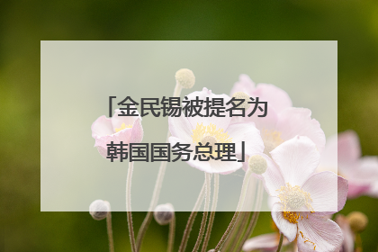 金民锡被提名为韩国国务总理