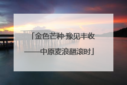 金色芒种·豫见丰收——中原麦浪翻滚时