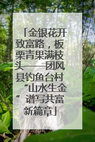 金银花开致富路，板栗青果满枝头——团风县钓鱼台村“山水生金”谱写共富新篇章