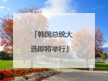韩国总统大选即将举行