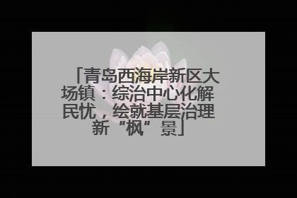 青岛西海岸新区大场镇：综治中心化解民忧，绘就基层治理新“枫”景