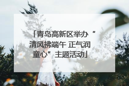 青岛高新区举办“清风拂端午 正气润童心”主题活动