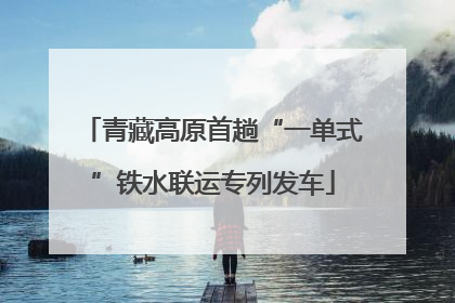 青藏高原首趟“一单式”铁水联运专列发车