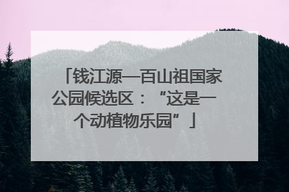 钱江源—百山祖国家公园候选区：“这是一个动植物乐园”