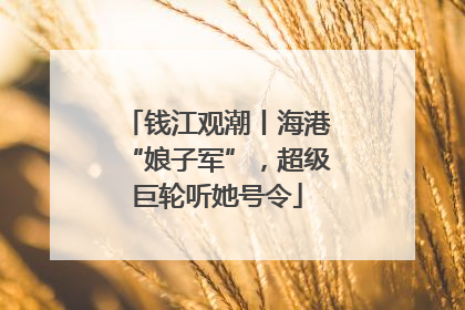 钱江观潮丨海港“娘子军”，超级巨轮听她号令