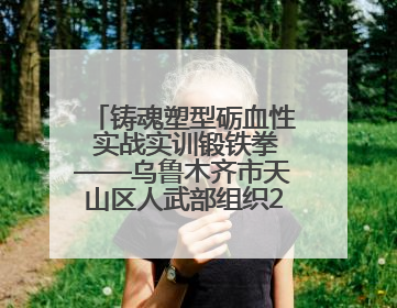 铸魂塑型砺血性 实战实训锻铁拳——乌鲁木齐市天山区人武部组织2025年度民兵集中轮训