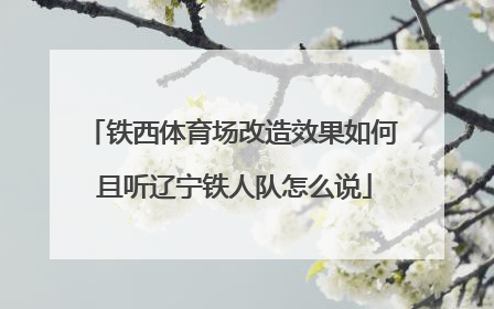 铁西体育场改造效果如何 且听辽宁铁人队怎么说