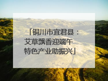 铜川市宜君县：艾草飘香迎端午 特色产业助振兴