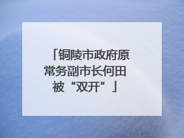 铜陵市政府原常务副市长何田被“双开”