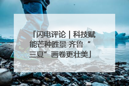 闪电评论｜科技赋能芒种胜景 齐鲁“三夏”画卷更壮美