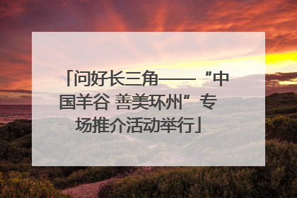 问好长三角——“中国羊谷 善美环州”专场推介活动举行