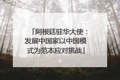 阿根廷驻华大使：发展中国家以中国模式为范本应对挑战