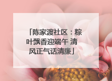 陈家渡社区：粽叶飘香迎端午 清风正气话清廉